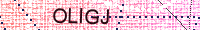 Güvenlik Resmi